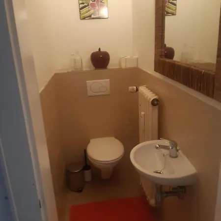 Apartment Froschkoenig